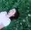 Portrait Flor