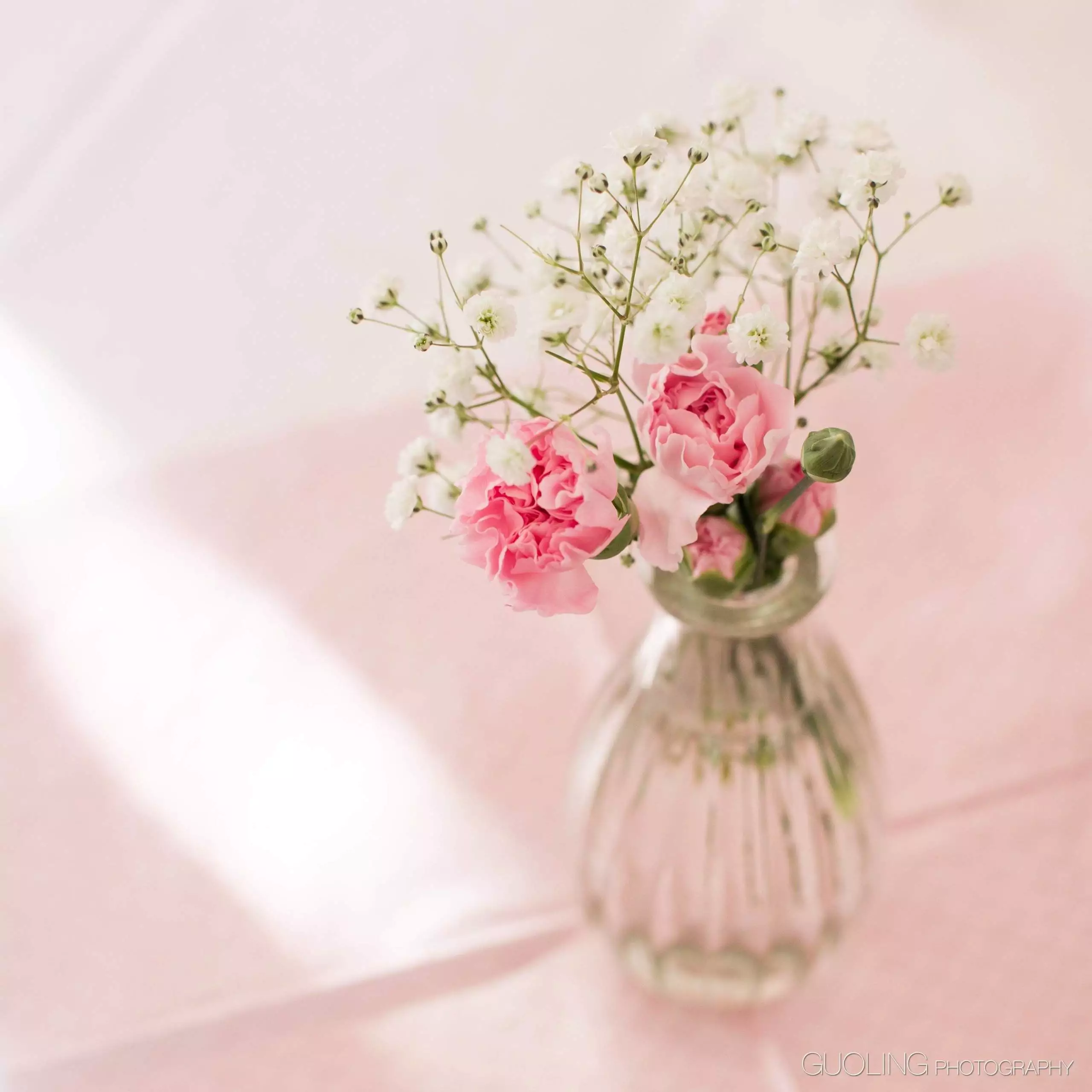 kontakt blumen